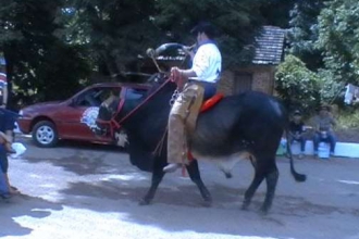 DV00236.jpg