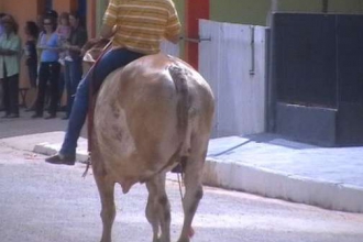 DV00352.jpg