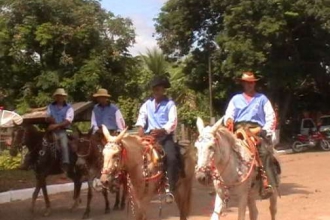 DV00367.jpg