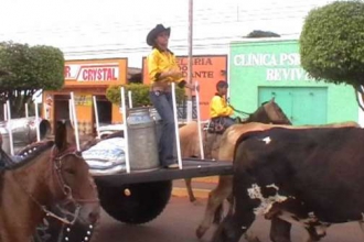 DV00475.jpg